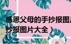 感恩父母的手抄报图片大全（关于感恩父母手抄报图片大全）