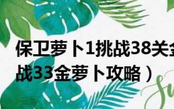 保卫萝卜1挑战38关金萝卜攻略（保卫萝卜挑战33金萝卜攻略）