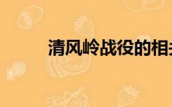 清风岭战役的相关资料（清风岭）