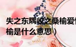 失之东隅收之桑榆爱情寓意（失之东隅收之桑榆是什么意思）