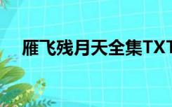 雁飞残月天全集TXT下载（雁飞残月天）