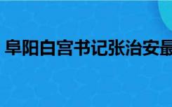 阜阳白宫书记张治安最近怎么样（阜阳白宫）