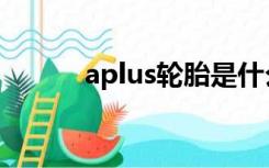 aplus轮胎是什么牌子（aplus）