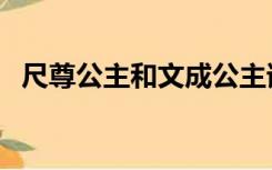 尺尊公主和文成公主谁先入藏（尺尊公主）