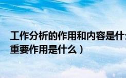 工作分析的作用和内容是什么（什么是工作分析工作分析的重要作用是什么）