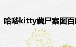 哈喽kitty藏尸案图百度（哈喽kitty藏尸案）