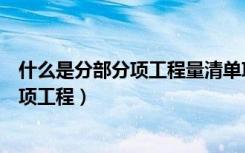 什么是分部分项工程量清单项目的综合单价（什么是分部分项工程）