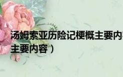 汤姆索亚历险记梗概主要内容500字（汤姆索亚历险记梗概主要内容）