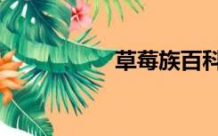 草莓族百科（草莓族）