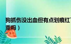 狗抓伤没出血但有点划痕红了（被狗抓没出血但有点划痕严重吗）