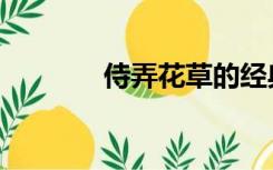 侍弄花草的经典诗句（侍弄）