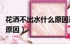 花洒不出水什么原因造成的（花洒不出水什么原因）