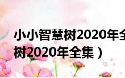 小小智慧树2020年全集视频朋友（小小智慧树2020年全集）