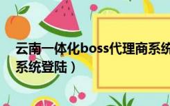 云南一体化boss代理商系统登录（云南一体化boss代理商系统登陆）