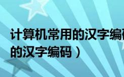 计算机常用的汉字编码有哪些（计算机上使用的汉字编码）