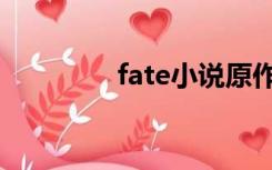 fate小说原作（fate小说）