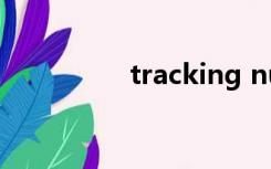 tracking number 查询