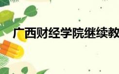 广西财经学院继续教育学院官网怎么登录