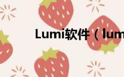 Lumi软件（lumion是什么软件）