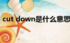 cut down是什么意思（cut up是什么意思）