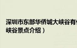 深圳市东部华侨城大峡谷有什么好玩的（深圳东部华侨城大峡谷景点介绍）