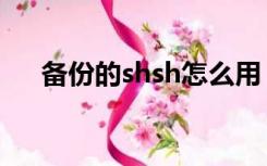 备份的shsh怎么用（shsh备份是什么）