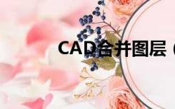 CAD合并图层（cad合并图层）