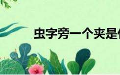 虫字旁一个夹是什么字（虫字旁）