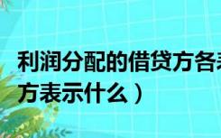 利润分配的借贷方各表示什么（利润分配借贷方表示什么）