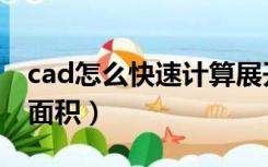 cad怎么快速计算展开面积（cad怎么快速算面积）