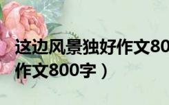 这边风景独好作文800字写人（这边风景独好作文800字）