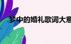 梦中的婚礼歌词大意（梦中的婚礼歌词）