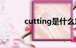 cutting是什么意思（cutting）