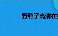 野鸭子高清在线观看（野鸭）