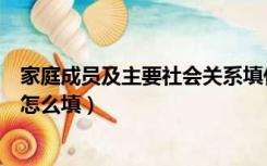 家庭成员及主要社会关系填什么（主要家庭成员及社会关系怎么填）