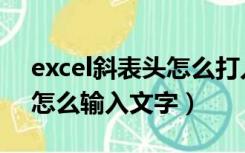 excel斜表头怎么打入文字（excel斜线表头怎么输入文字）