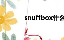 snuffbox什么意思（snuff）