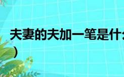 夫妻的夫加一笔是什么字（夫加一笔是什么字）