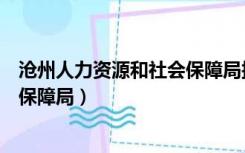 沧州人力资源和社会保障局接收档案（沧州人力资源和社会保障局）