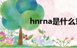 hnrna是什么意思（hnrna）