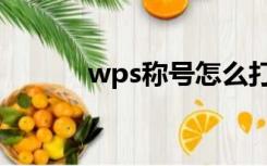 wps称号怎么打（称号怎么打）