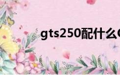 gts250配什么CPU（gts250）