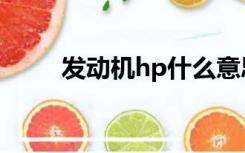 发动机hp什么意思（hp什么意思）