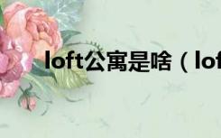 loft公寓是啥（loft公寓是什么意思）