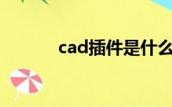 cad插件是什么（插件是什么）