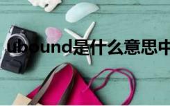 ubound是什么意思中文（ubound是什么）