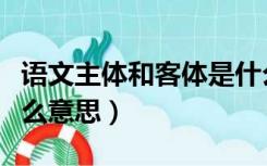 语文主体和客体是什么意思（主体和客体是什么意思）