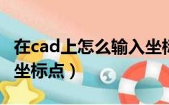 在cad上怎么输入坐标点（CAD里面怎么输入坐标点）