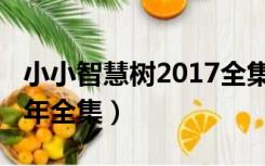 小小智慧树2017全集播放（小小智慧树2017年全集）