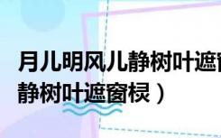 月儿明风儿静树叶遮窗棂的歌词（月儿明风儿静树叶遮窗棂）